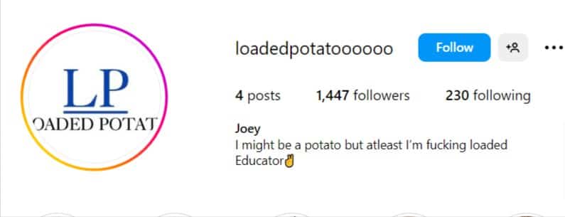 Loadedpotatooo Mentorship