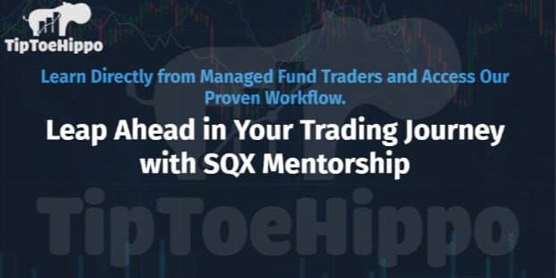 TipToeHippo - Strategy Quant Mentorship