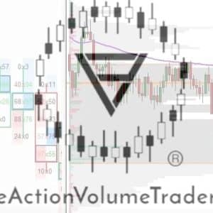 PAVolumeTrader – Day Trading with Volume Profile and Orderflow