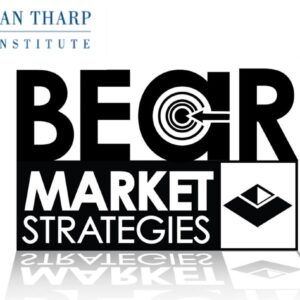 Bear Market Strategies eLearning Course – Van Tharp Institute