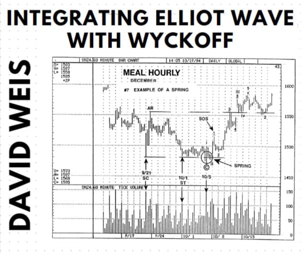 David Weise - Integrating Elliot Wave with Wyckoff ( MP3s & PDF)