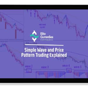 [Download] Chris Svorcik – Simple Wave Analysis and Trading (2021)
