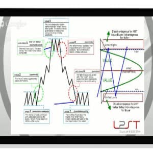 [Download] Brian & Kam – Trading with Auction Market Theory and Volume Profiles (2021)