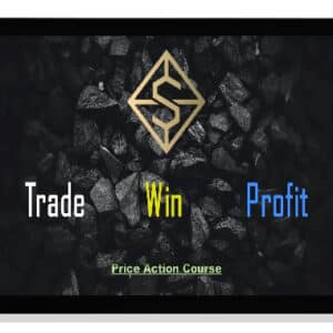 [Download] TWP Price Action Course (2021)