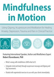 Mindfulness in Motion: Using Qigong, Acupressure and Meditation for Healing Anxiety, Depression, Trauma and Pain in Clinical Practice â€“ Robert Rosenbaum