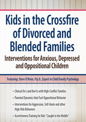 Kids in the Crossfire of Divorced and Blended Families: Interventions for Anxious, Depressed and Oppositional Children – Steve O?Brien