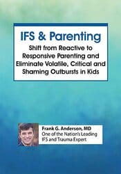 Internal Family Systems Therapy (IFS) and Parenting – Frank Anderson