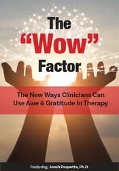 The ?Wow? Factor: The New Ways Clinicians Can Use Awe and Gratitude in Therapy – Jonah Paquette