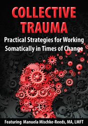 Collective Trauma: Practical Strategies for Working Somatically in Times of Change – Manuela Mischke-Reeds