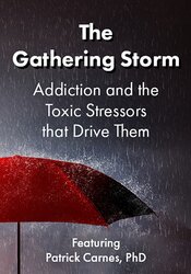 The Gathering Storm: Addiction and the Toxic Stressors that Drive Them – Patrick Carnes