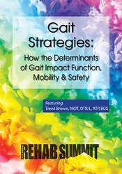 Gait Strategies: How the Determinants of Gait Impact Function, Mobility & Safety – Trent Brown