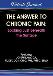 The Answer to Chronic Pain: Looking Just Beneath the Surface – Joseph LaVacca