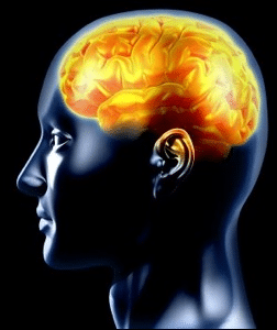 Gene Ang â€“ Arcturian Neurobiology of Attention Group Healings