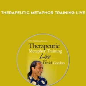 David Gordon â€“ Therapeutic Metaphor Training LIVE