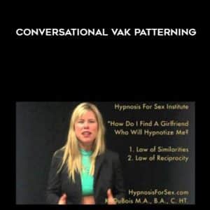 Kali Dubois â€“ Conversational VAK Patterning