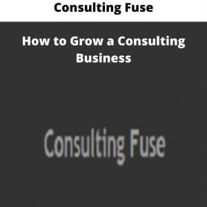 Consulting Fuse â€“ How to Grow a Consulting Business | Available Now !