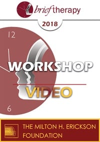 BT18 Workshop 18 â€“ How to Deeply Open to a Client?s Experience with Safety and Skill â€“ Stephen Gilligan, PhD