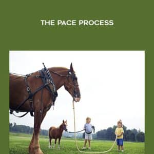 Rudy Hunter â€“ The PACE Process