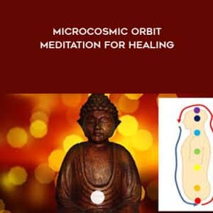 Sandeep Nath â€“ Microcosmic Orbit Meditation For Healing