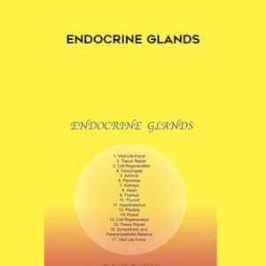 Sound Healing Center â€“ Endocrine Glands