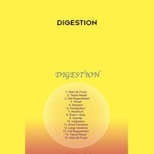 Sound Healing Center â€“ Digestion