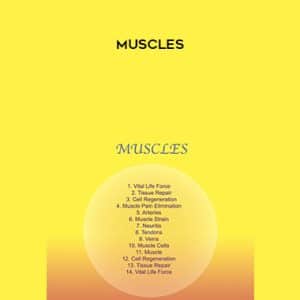 Sound Healing Center â€“ Muscles