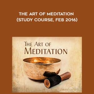 Adyashanti â€“ The Art of Meditation (Study Course, Feb 2016)
