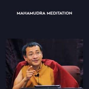 Dzogchen Ponlop Rinpoche â€“ Mahamudra Meditation