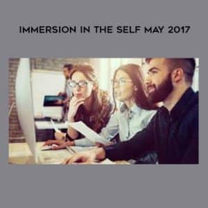 Susan Seifert â€“ Immersion In the Self May 2017
