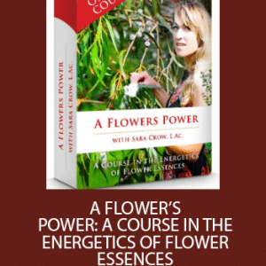 Sara Crow â€“ A Flowers Power â€“ A Course In The Energetics Of Flower Essences