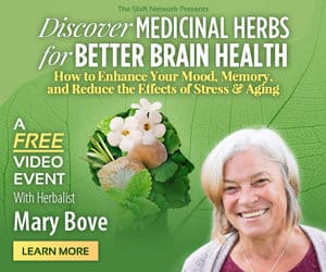 Medicinal Herbs for Better Brain Health â€“ Mary Bove