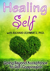 Healing Self: Going Beyond Acceptance to Self-Compassion â€“ Richard C. Schwartz