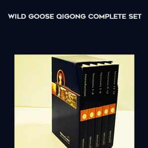 Wild Goose Qigong Complete Set