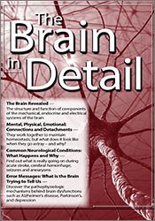 The Brain in Detail – Mary T. Johnson