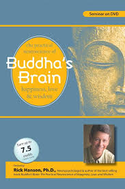 Buddha?s Brain: The Practical Neuroscience of Happiness, Love and Wisdom â€“ Rick Hanson