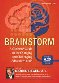 Brainstorm: A Clinician?s Guide to the Changing and Challenging Adolescent Brain â€“ Daniel J. Siegel