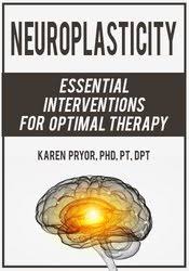 Neuroplasticity: Essential Interventions for Optimal Therapy â€“ Karen Pryor