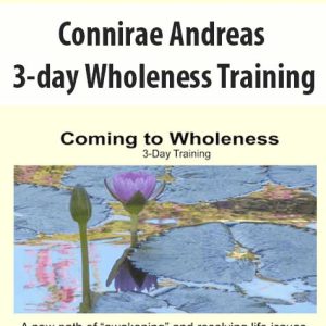 Connirae Andreas â€“ 3-day Wholeness Training