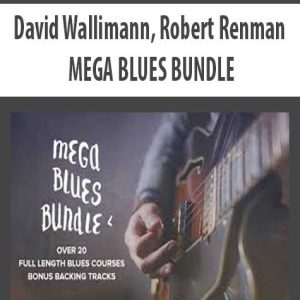 David Wallimann, Robert Renman â€“ MEGA BLUES BUNDLE