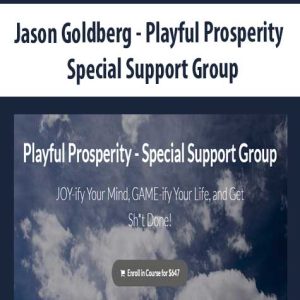 Jason Goldberg â€“ Playful Prosperity â€“ Special Support Group