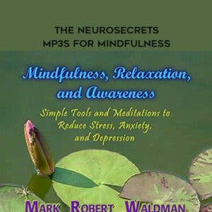 Mark Waldman â€“ The NeuroSecrets â€“ MP3s for Mindfulness