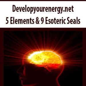 Developyourenergy.net â€“ 5 Elements & 9 Esoteric Seals