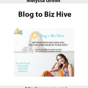 Melyssa Griffin – Blog to Biz Hive | Available Now !