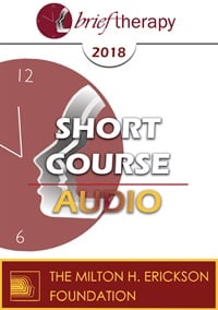 BT18 Short Course 02 â€“ Long-Term Interventions in a Brief Therapy Model for Residential and Intensive Outpatient Drug and Alcohol Addiction Treatment â€“ Julia Alperovich, MS, MFT