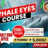 Whale Eyes Course By Guardeer