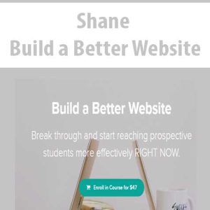 Shane â€“ Build a Better Website