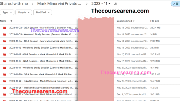 MARK MINERVINI Private Access 2023