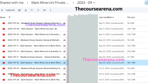 MARK MINERVINI Private Access 2023