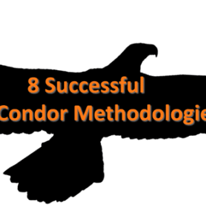 Dan Sheridan – 8 Successful Iron Condor Methodologies
