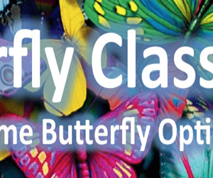 Dan Sheridan – Butterflies for Monthly Income 2016